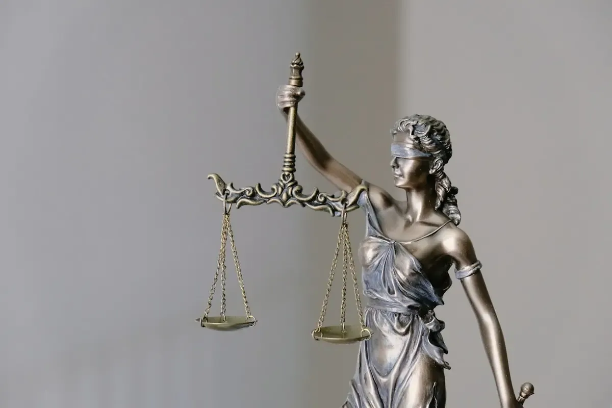 Judicial Systems: What the Work Is Really Like