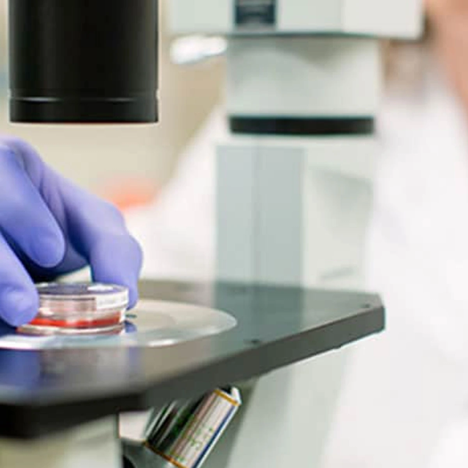 Cytogenetic Technologists in Medical Laboratories