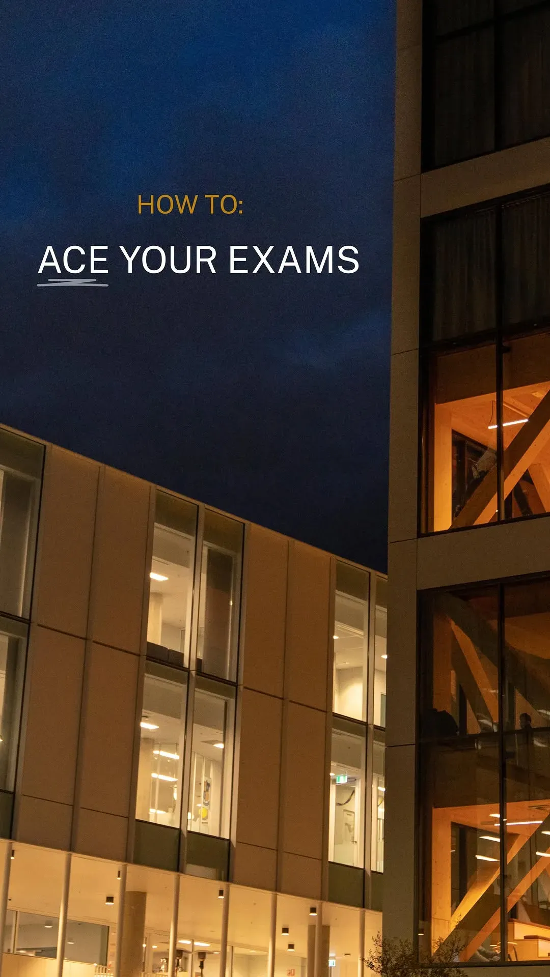 The exam tips you actually need 🙂↕️
