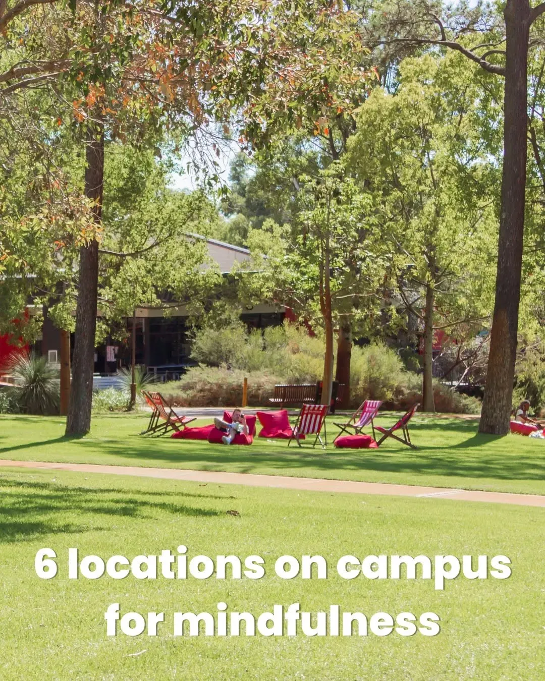 Running from class to class, juggling assignments, trying to keep up with everything… we get it!

Did you know there are spaces across campus designed to help you recharge in between classes? Enjoy a quick workout at Murdoch Active, soak up the sunshine in the Chinese Garden or cuddle some furry friends at The Den. 

Because your wellbeing deserves a spot on your timetable too 💭