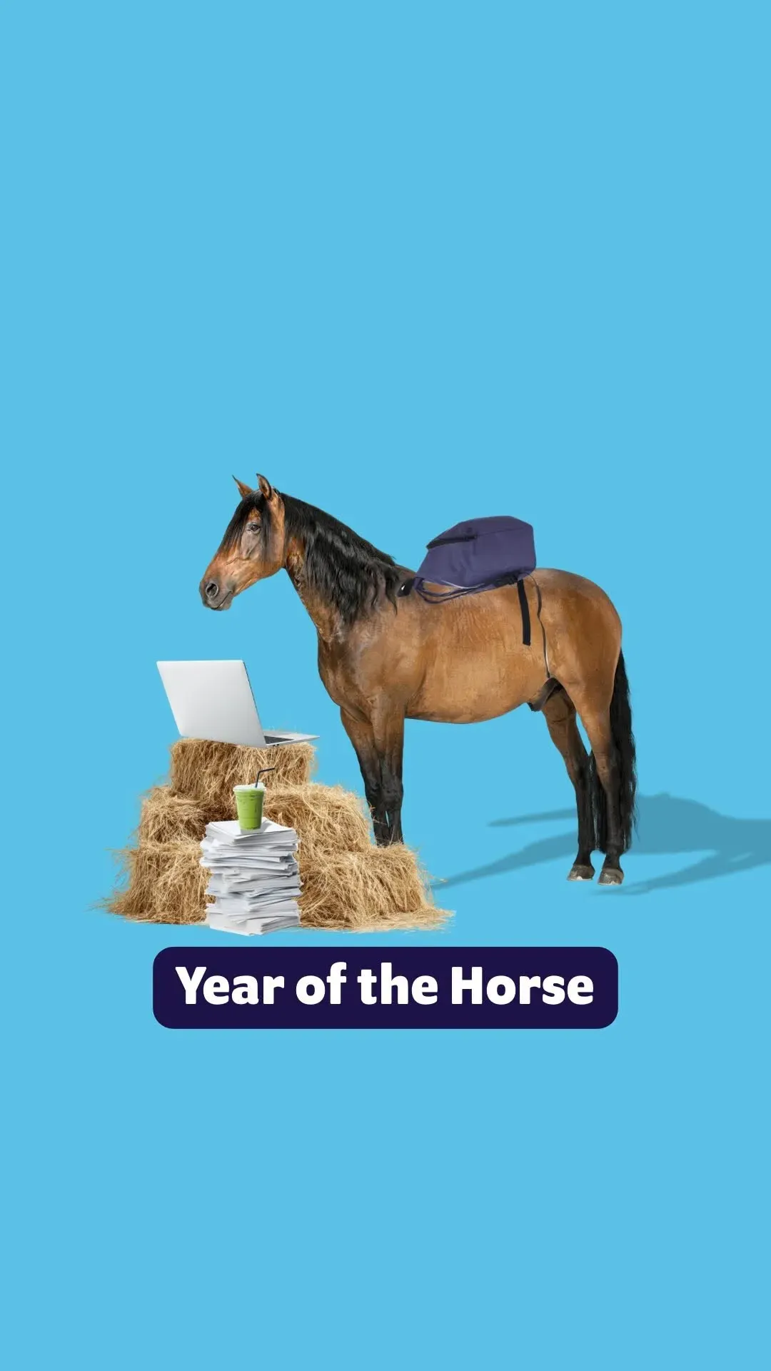 We’re halfway through the Year of the Fire Horse 🐎
Here are some tips for a productive second half of 2026:
📚 Year 11: Explore your interests, career pathways and study options now to make future decisions easier.
🎓 Year 12: Focus on progress, not perfection, and break big goals into manageable steps.
💻 Uni students: Stay organised, ask for support when you need it, and make the most of campus opportunities.
🧰 TAFE students: Keep building practical skills and industry connections through every project and placement.
You’ve made it this far, keep going!