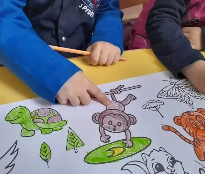 What is early childhood education?