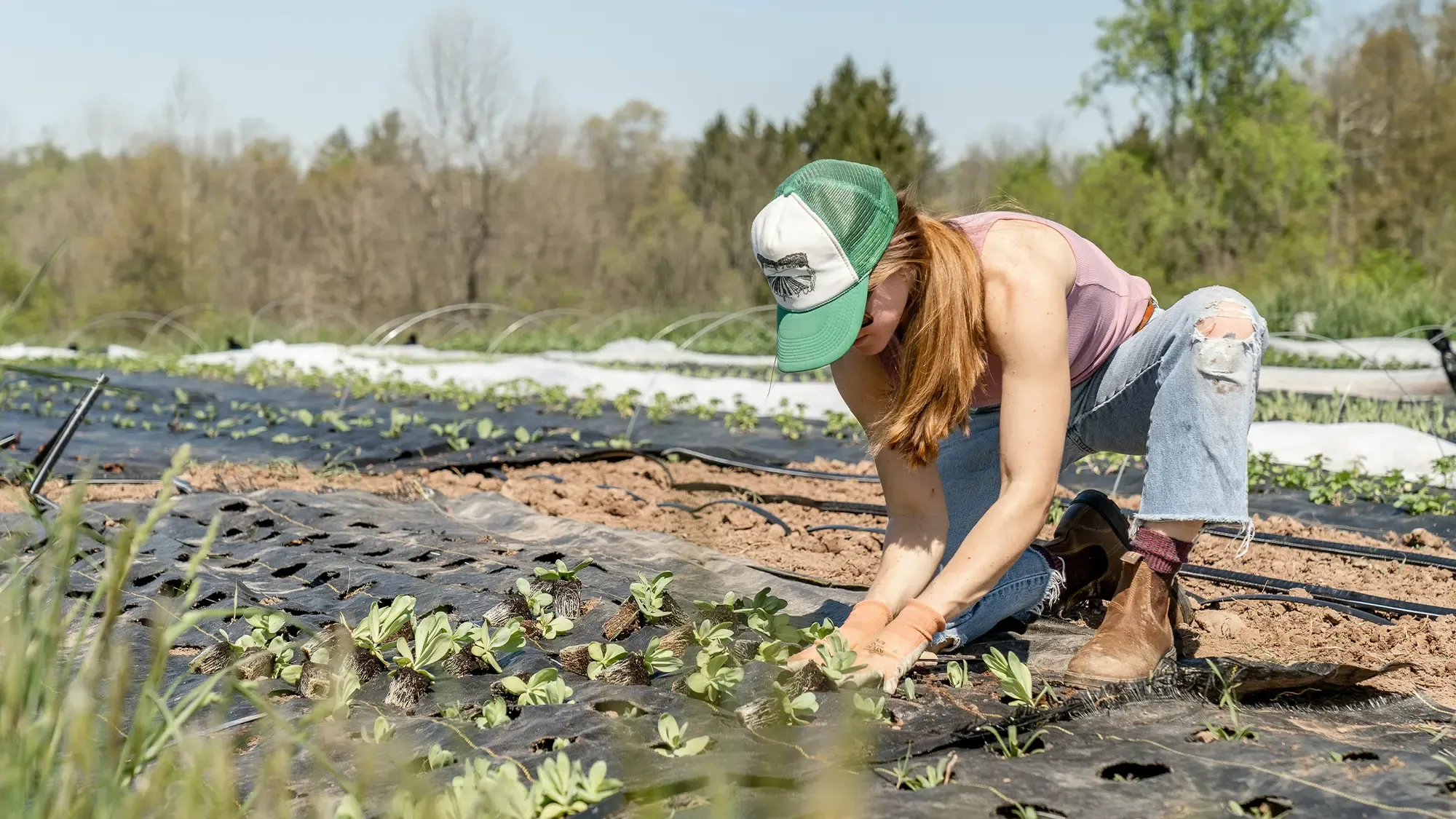 Agriculture