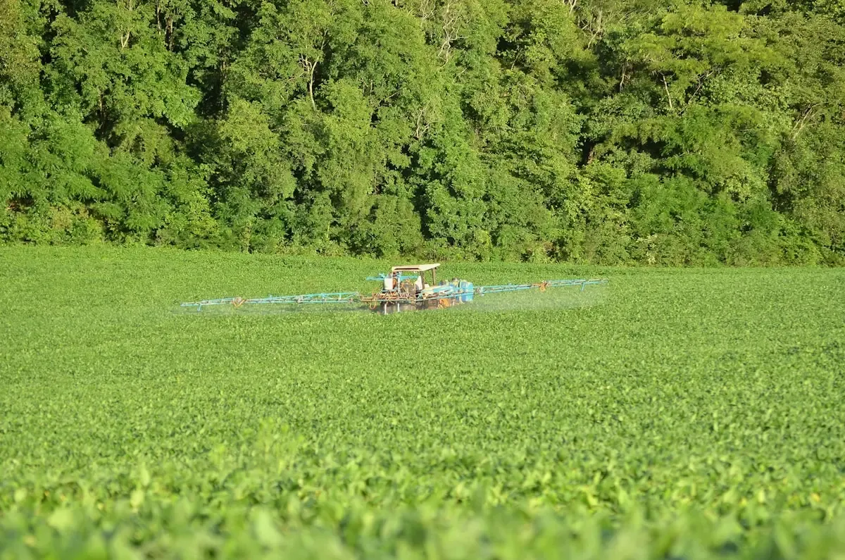 Spray Window