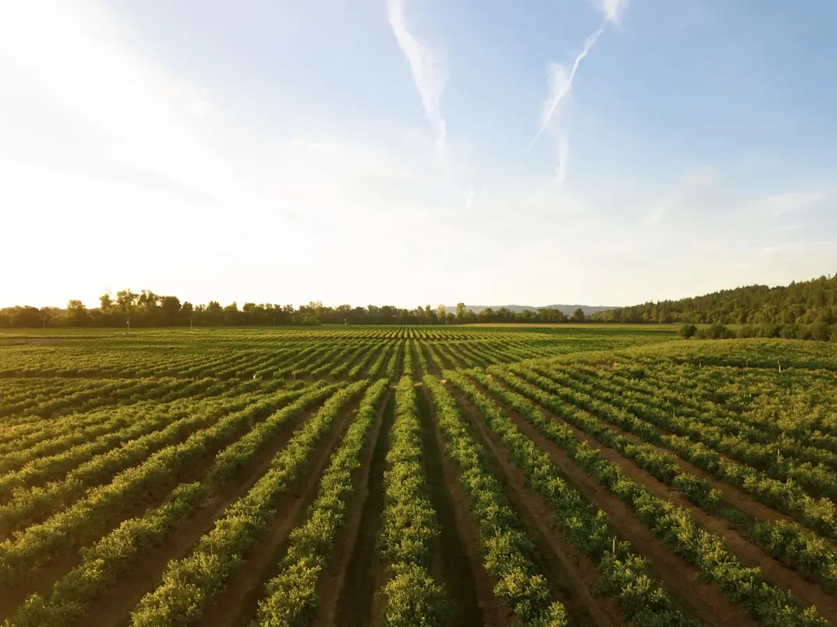 Agricultural Technology Automation