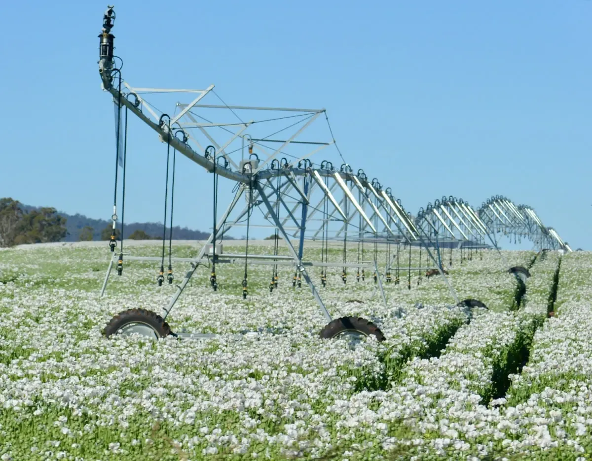 What It Takes to Work in Water Systems