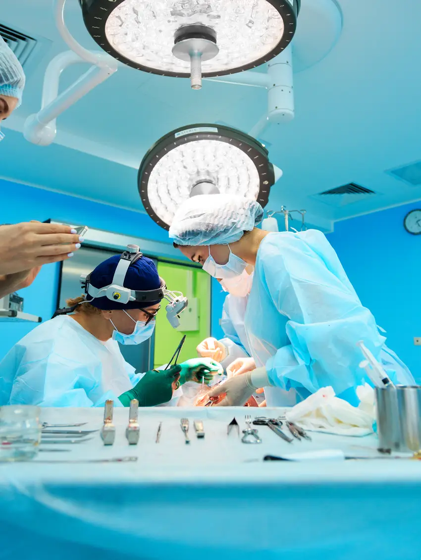 Oral Surgeons