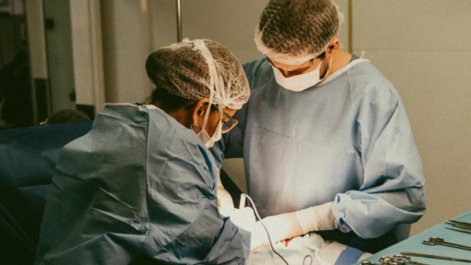 Healthcare & Support in action